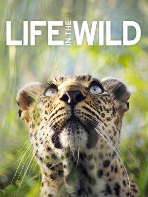 cover image of Life In The Wild